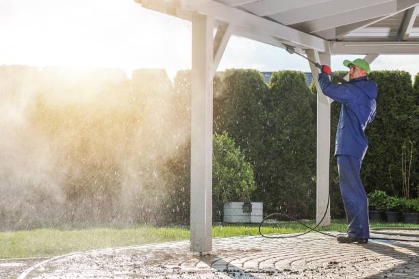 Best Graffiti Removal  in Wellsville, UT